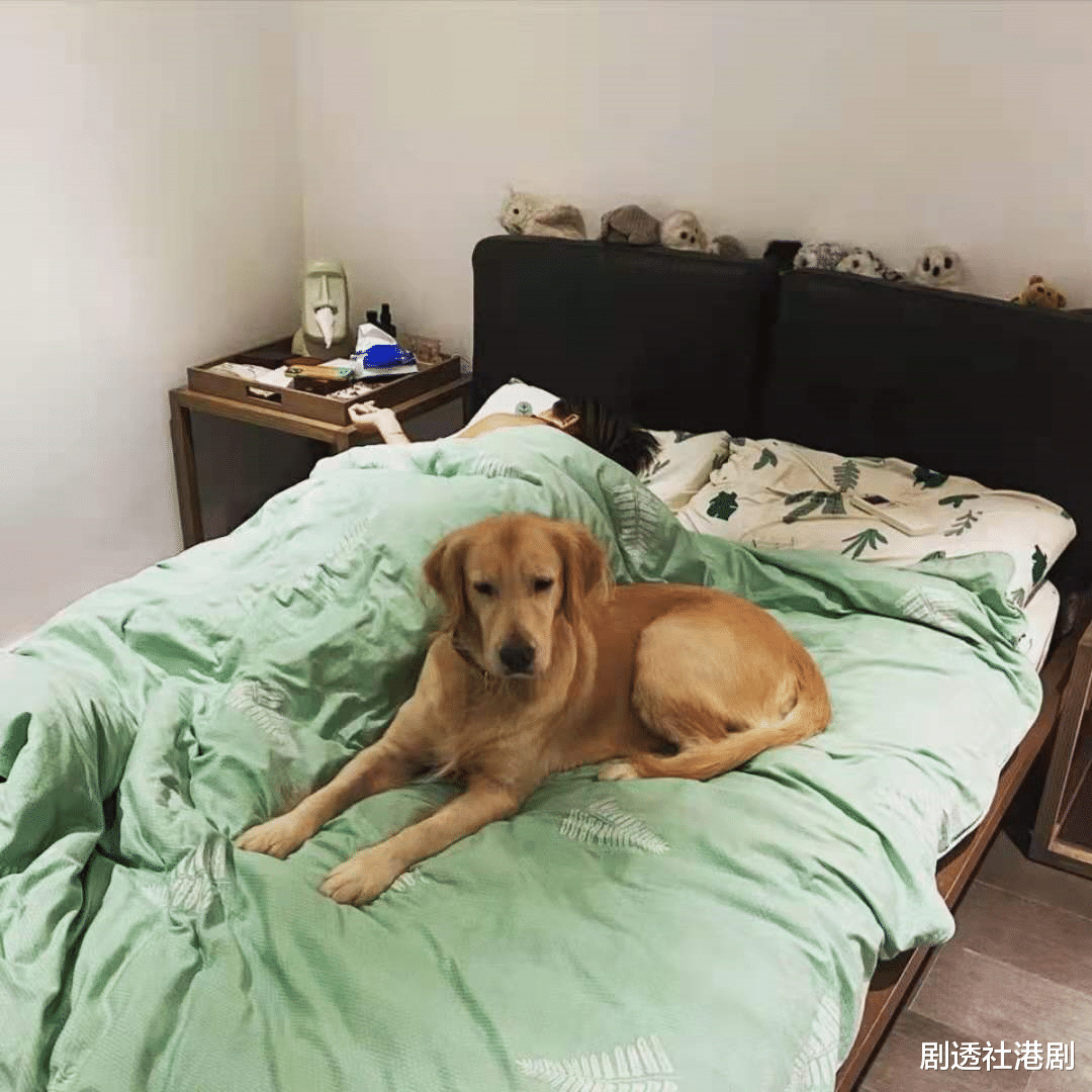 赵薇|被网友指责！TVB知名男星老婆怀孕夜跑8公里，老公留言：慢一点呀