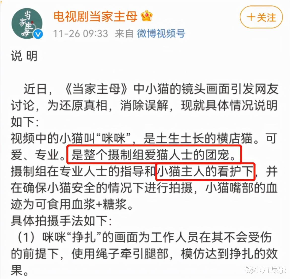 当家主母|《当家主母》反转了？群演道歉，称不该无视小猫的精湛演技