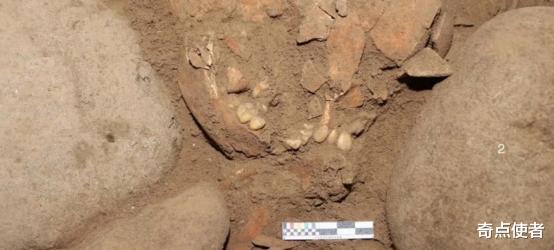  丹尼索瓦人没有灭绝？印尼发现7200年前古人类遗骸，DNA和我们不同