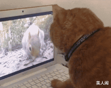 美人阁 大哥,这智商就告别用剑吧哈哈哈