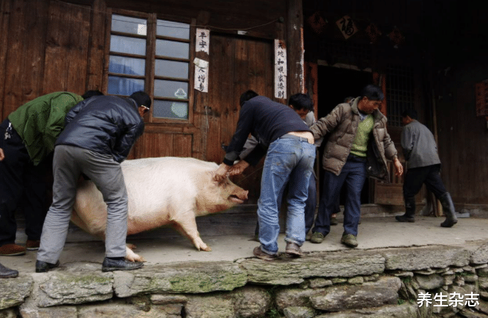 补钙|50多岁牙齿松动，竟然被一个中药方治好了，牙齿不好的朋友可以借鉴