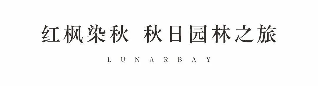 海口|星联地产| 星联·揽月湾 深秋里的湖居洋房生活