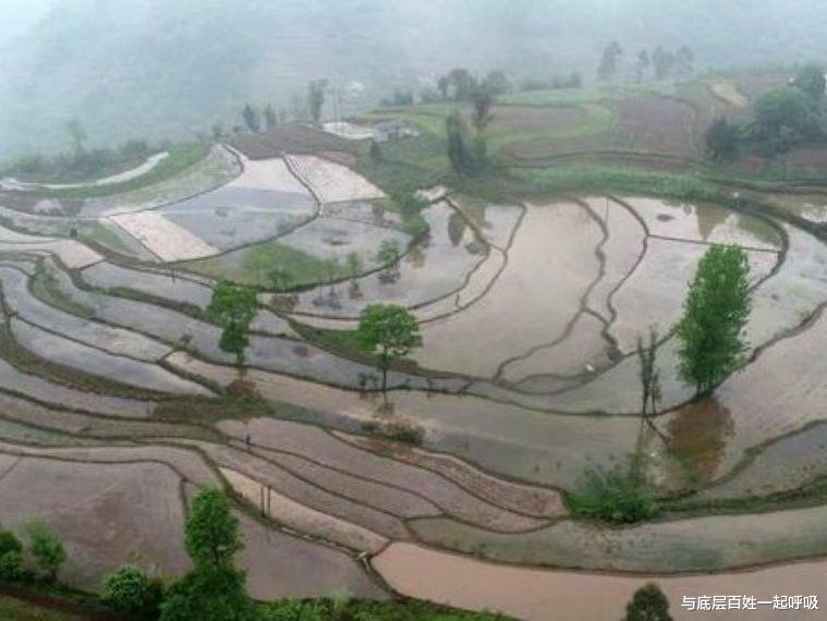 与底层百姓一起呼吸 堂伯的幸福来源于婆婆的守口如瓶,堂伯本来是当农民的命