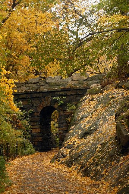 水库|冬季水库巧打窝(精髓)