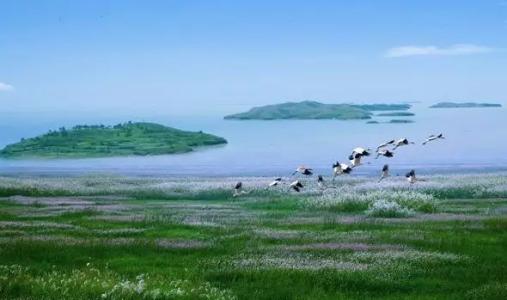 菜菜叶|为什么中国第一大淡水湖是鄱阳湖？兴凯湖为什么没有排名