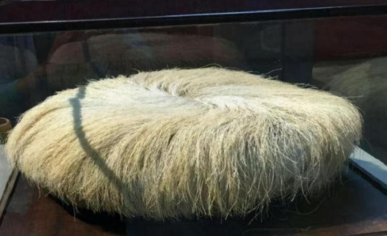 向东向西看 石头在长头发？老农捡到后想要将其占为己有，专家：这是远古生物