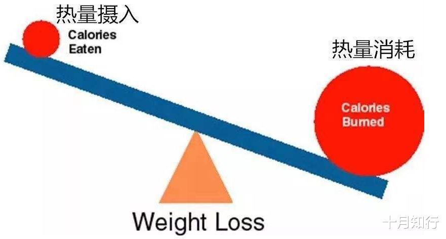 运动 保持500大卡的热量差，一个月就能瘦4斤？不，身体会对抗你的努力