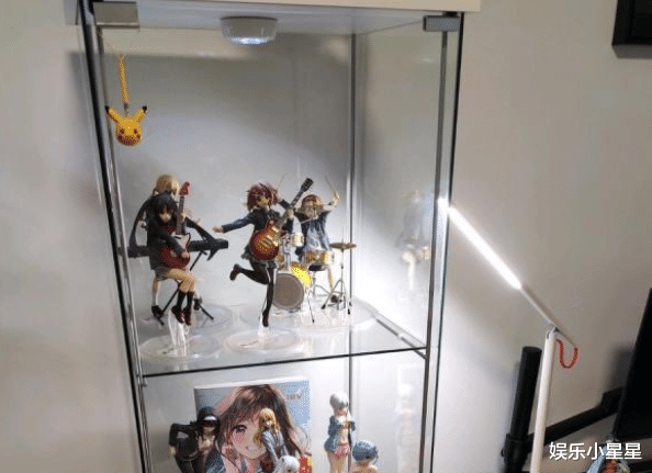 娱乐小星星|60岁宅男被手办压死，原因令人反思，有钱人买手办真就这么疯狂？