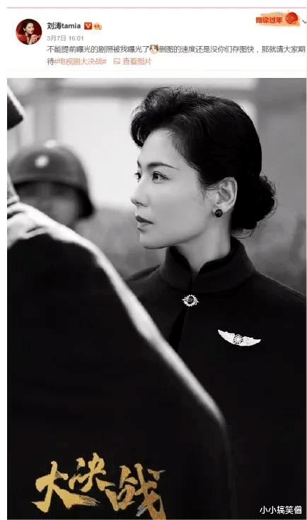 宋美龄|刘涛的宋美龄“美得可以”，于和伟的林彪让我替他捏把汗