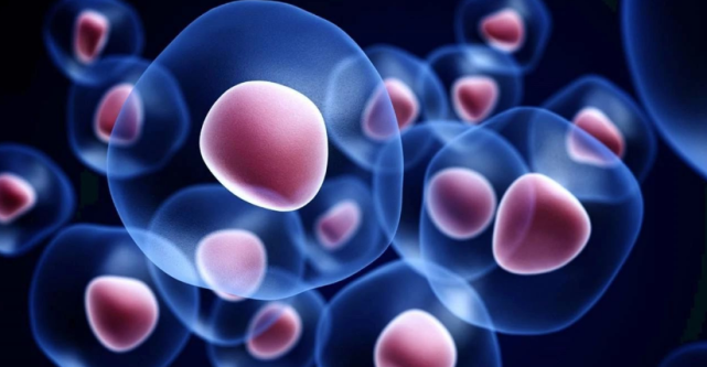 科学家 人类能实现永生吗？科学家：方法已找到，但不敢贸然尝试