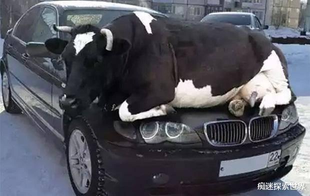 痴迷探索世界|7张著名老照片,骗过了无数人,第5张很少有人见过