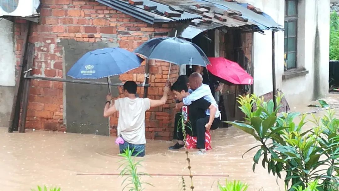 义乌快报 最后一栋！这个地块完成拔钉清障