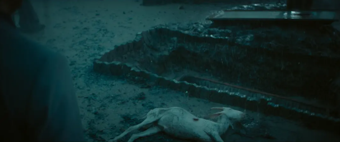 周笔畅|全网骂的诈骗大作，我替他喊冤