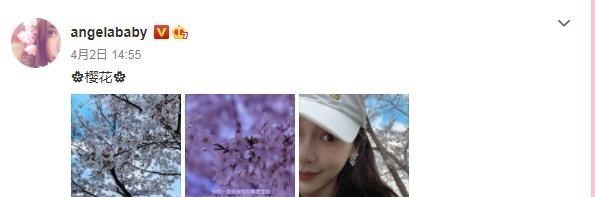 奚梦瑶|杨颖带儿子赏花被拍,儿子背影亲妈都认不出!网友:要感谢奚梦瑶