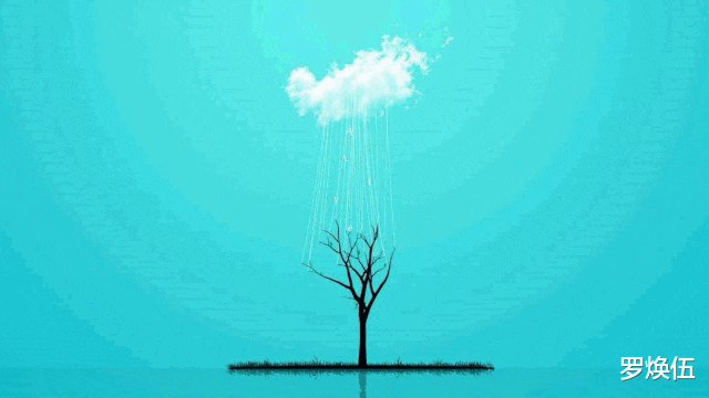 罗焕伍|大学食堂的“WiFi密码”火了,放在明面不怕蹭,学渣却无缘答案