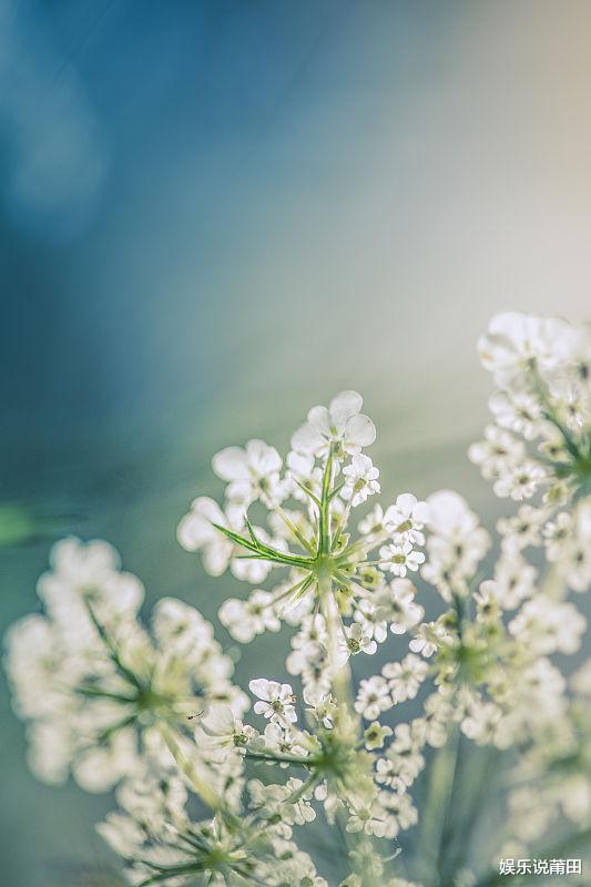 运势|好运连连的三星座，职业运势超好，未来一周可能会平步青云