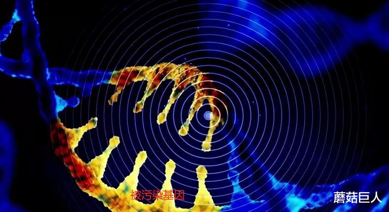 基因 第一次星空大战,人类命运走向了何方?那久远的历史诉说了什么?