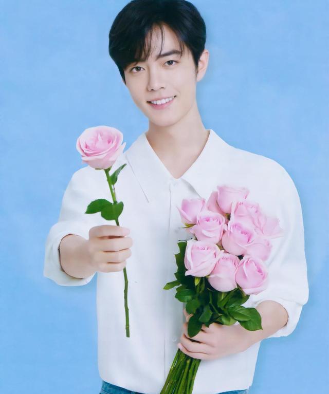 肖战|肖战深夜发自拍福利后，《湖南卫视》发文评价，直呼看完没烦恼