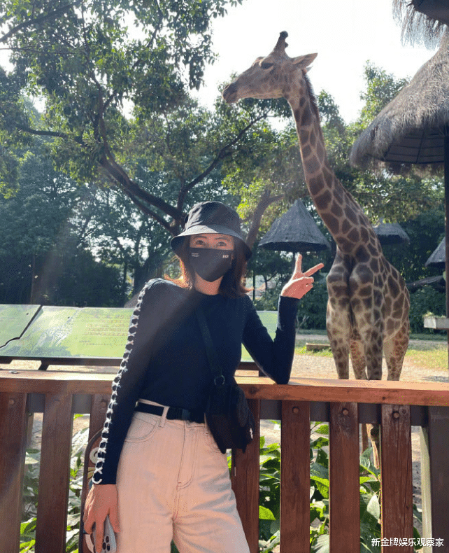 高圆圆|高圆圆和闺蜜逛动物园，全程素颜无惧怼脸拍，谁能看出她42岁了？