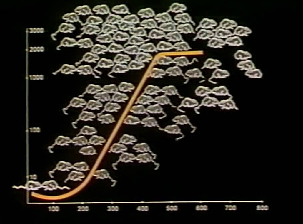 英仙座流星雨 可怕的25号宇宙：老鼠的“乌托邦”实验，600天后变成末日
