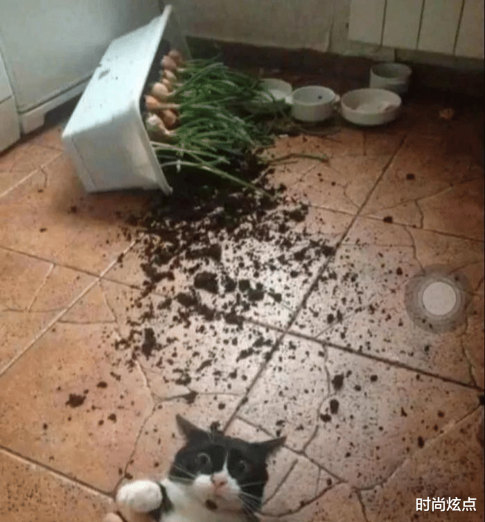 时尚炫点 “如何判断一个男人的能力如何？看腿就行了！”