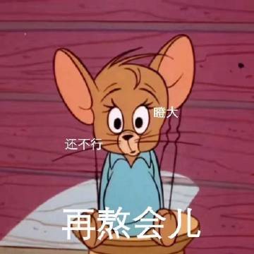 桉月|表情包：熬夜人的真实写照, 我不困