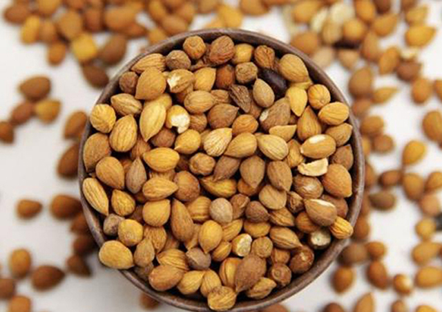 深度养生知识|走近中药,认识一下郁李仁,就是水果“李子”的果核吗?