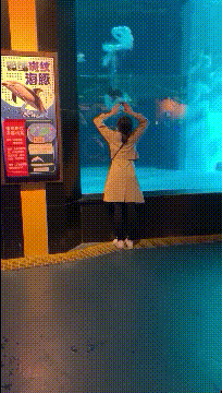 铭洋说育儿|神回复：我姓秦，出生那天刚好是爷爷60大寿，所以我叫？