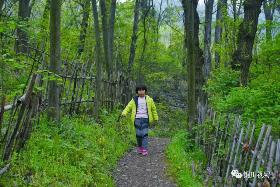 铜川周春辉 五一假期，我们一起爬山，用镜头记录美丽的大自然