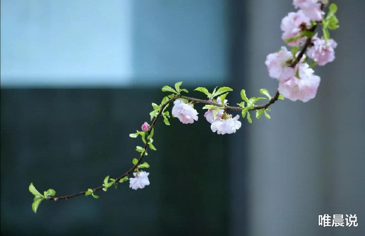 唯晨说 如果有一天你心情不好,可以试着去做这5件事,或许会有惊喜