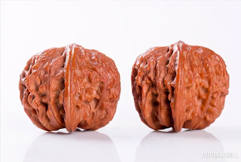 文玩核桃|文玩核桃网红品种，蛤蟆头，为什么这么贵？