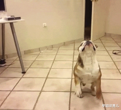 学姐说育儿|“妹子真粗心啊,光顾着玩手机了,连自己的铠甲开了都不知道”哈哈哈