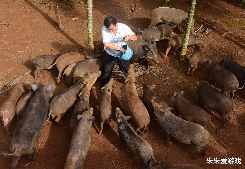 朱朱:盘点地球上那些颜值很丑的动物,看看有你认识的吗