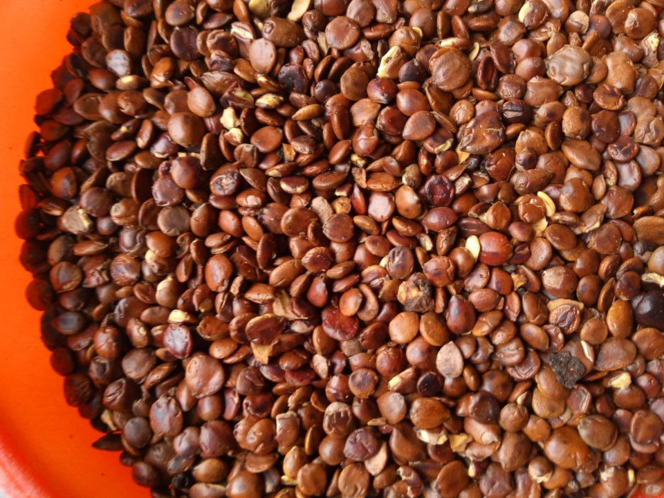 非正常哥哥|半夜易醒睡眠差，是哪里出了问题？如何解决都在这里了！