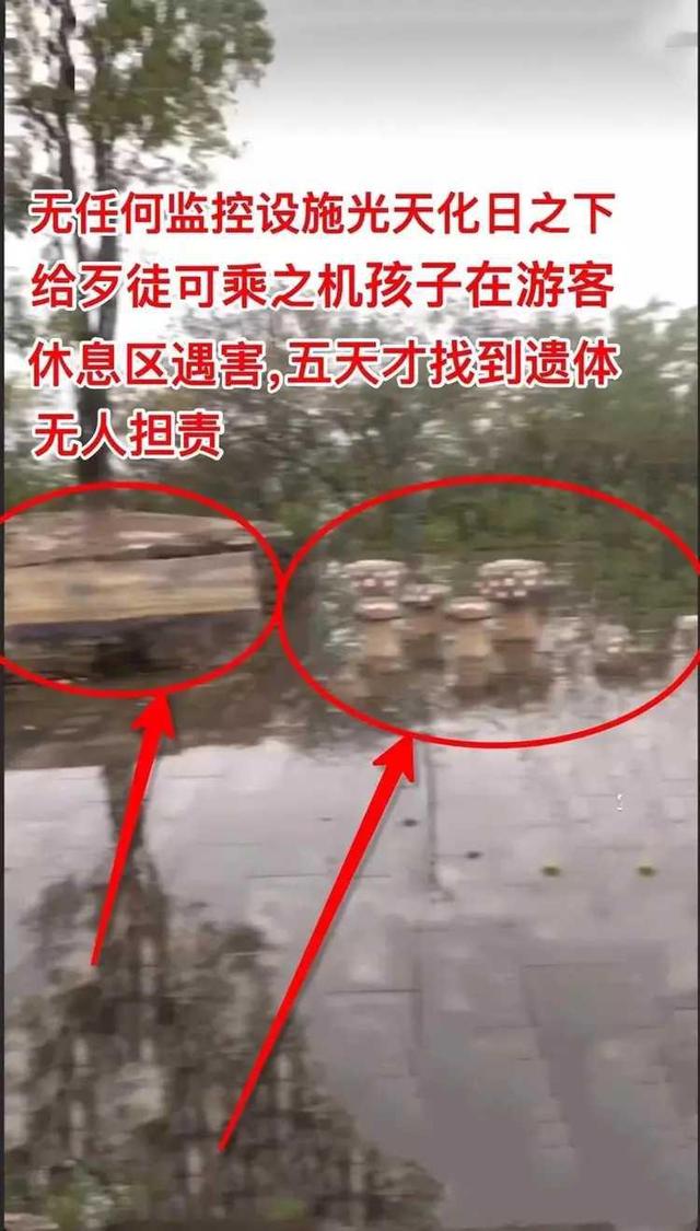 十堰被害细节: 嫌疑人因无健康码没处逃, 曾二次前往事发地伪造证据