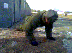 职业教育|“马总化腾的女儿，以后谁要是娶了她就不用愁了”哈哈哈哈