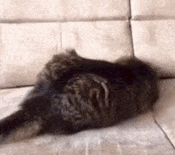  被陌生人拉入公主群，是一种怎样体验？仿佛来到新世界！