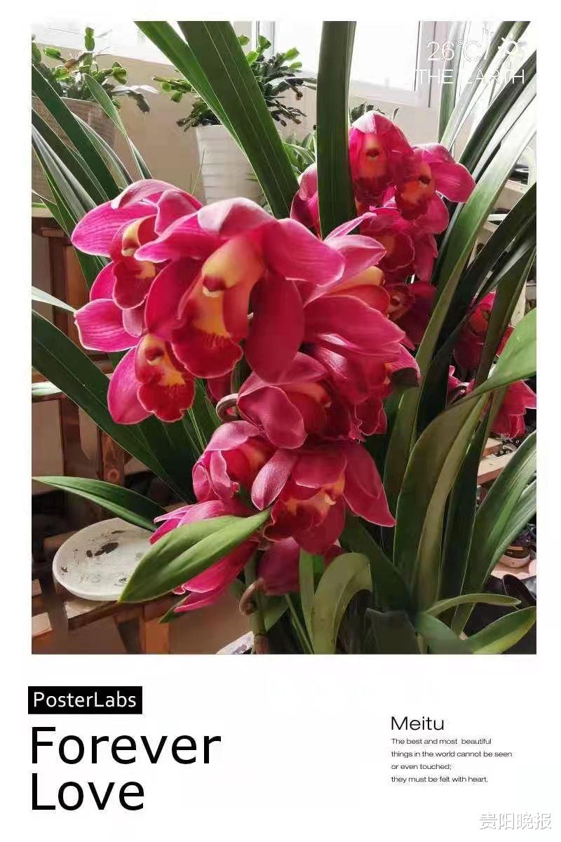 贵阳晚报 动动手指，就有丰厚奖品！好一多幸福年全家福征集活动只剩6天啦，快来找找您的作品在哪里