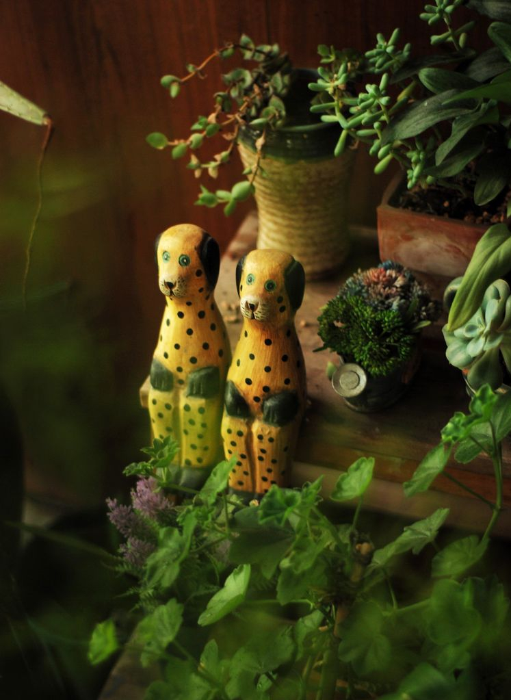 7㎡小阳台，改造成19楼的空中小花园，天天宅在家不想出门了