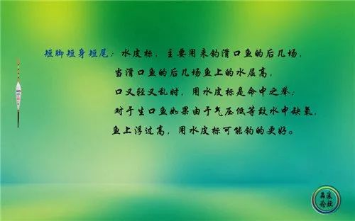 佛系|图解钓鱼浮漂的种类和用途与调漂技巧