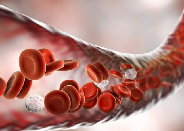 尿毒症|天然的血管“疏通器”找到了,不妨常吃这4样,或能使血脂平稳