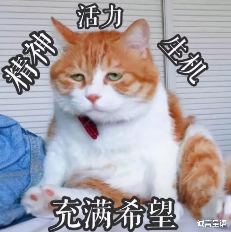 |男生不愿娶的女生职业排行：销售未进前三，榜首实至名归