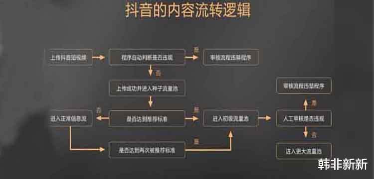 算法|抖音搜索引擎算法是什么样的