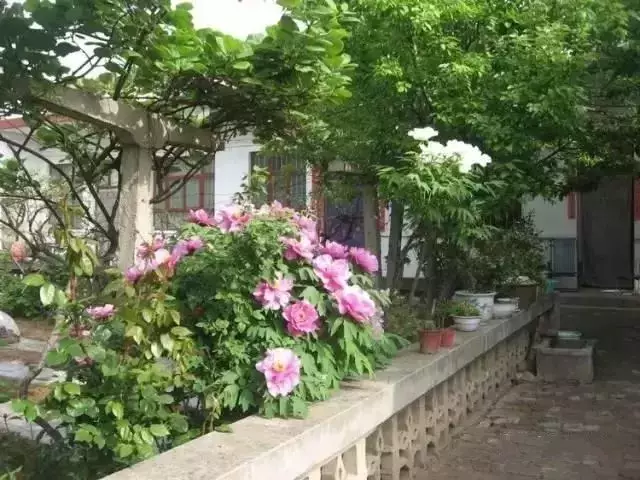 |乡村小院，装满生活的理想!