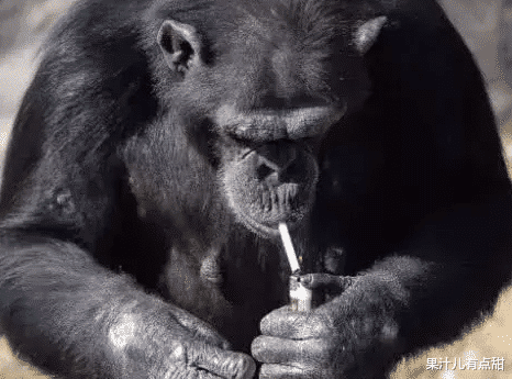 戒烟|人一天能承受几根烟？专家：只要不超过“这数”，戒烟“无所谓”