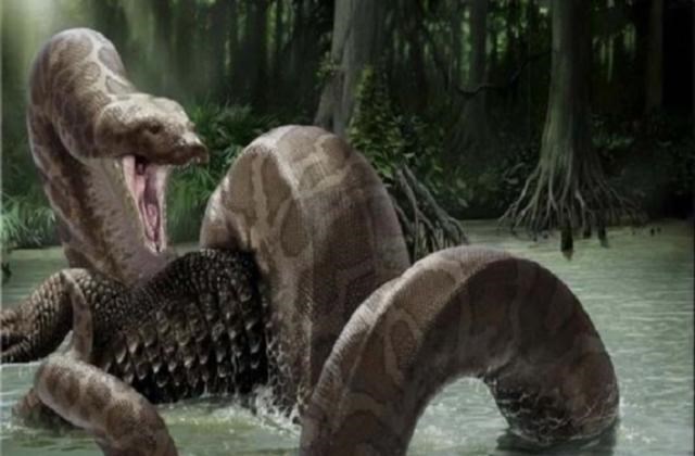 神经元|地球在5500万年前发了一次“高烧”，孕育了史上最大的蛇