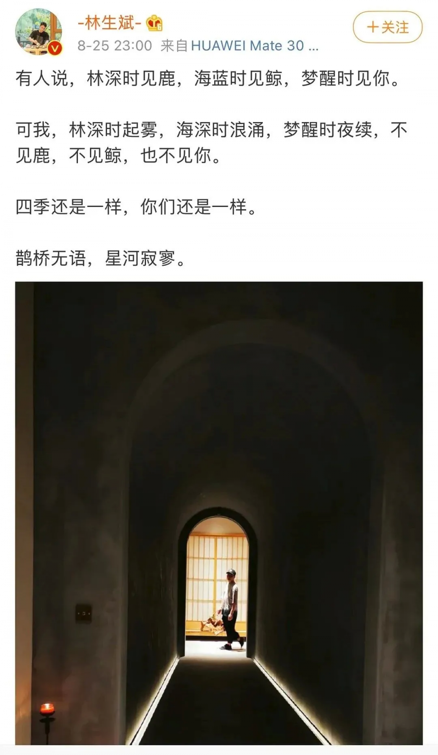 育儿宝屋|林生斌：钱到位，泪就干了