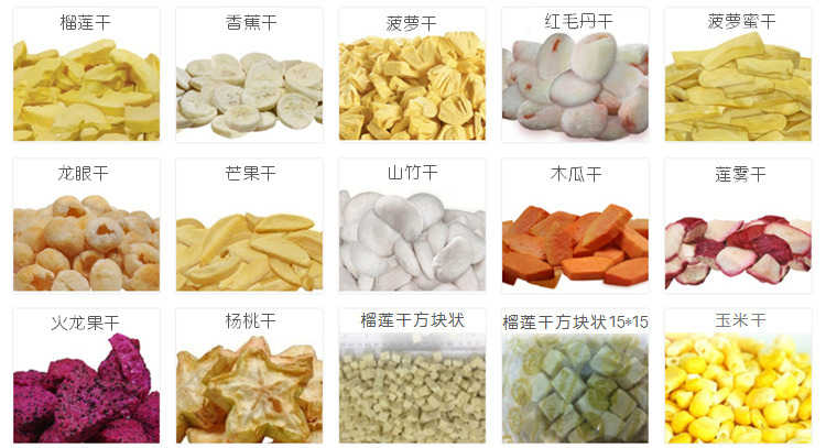  真空冷冻干燥机日常使用出现的小问题以及解决小技巧