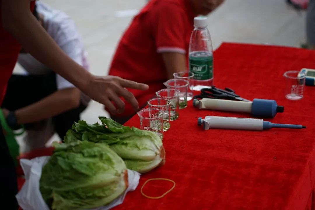 清新TV 进社区、进校园，2021年清新区新时代文明实践中心志愿服务启动！