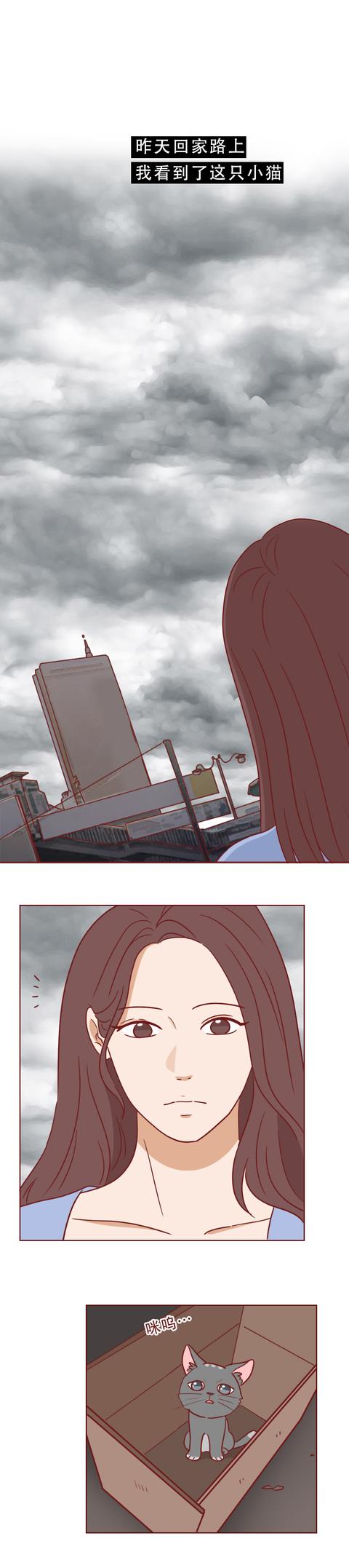 女孩|一只捡来的猫，给了抑郁症女孩第2次生命，有时兽性比人性强